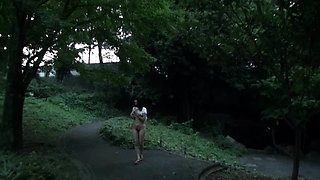 Japanese babe got toyed and facialed