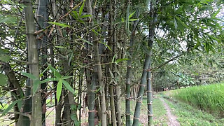 Bangla Choti golpo student and teacher best performance student