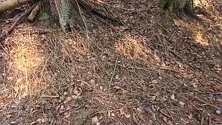 All Alone in the Forest...