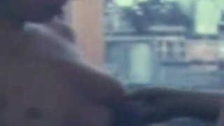 Trailer 488