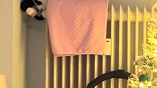 Mistress Dominates Handjob and Makes Her Slave Cum in Stocking