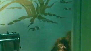 Classic Porn Dvds: Blonde Fire: Part 2