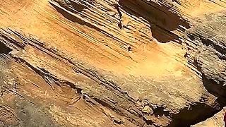 Sjambok on the Beach. Summer Holiday in South Africa Part 1