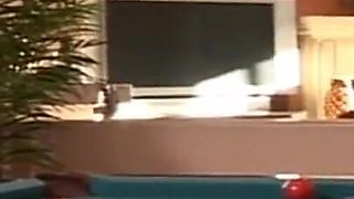 Sexy Ebony Babe Gives a Great BlowJob and Fuck to a Hung Stud