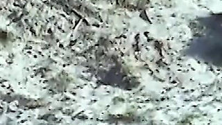 Young Lezzies Love Oil Massage on The Beach