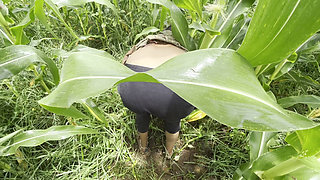 Brother-in-law took me to the farm and left it, sister-in-law and brother-in-law