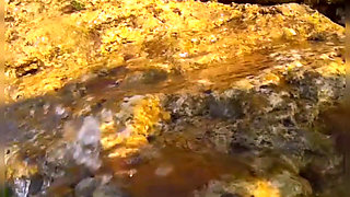 Swimming and Flashing in the Sea