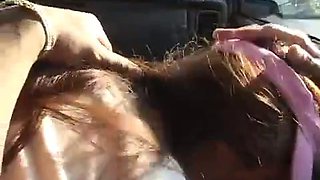 Sakura tales 5 scene 5: Blowjob, Anal  Hardcore Porn