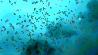 Ladyzara Miss Allessa Milano Oiled Body Hard Tickling Punishment