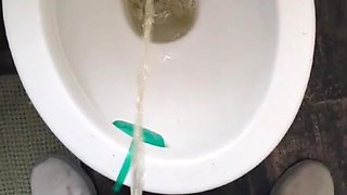 Pissing in the Toilet Compilation