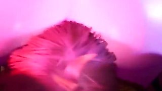 Eating a Witch's Ass