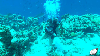 Alone Time in Bonaire
