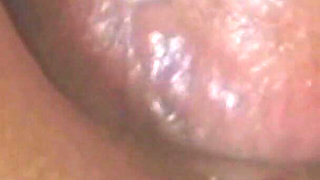 A Cock in the Ass a Day...