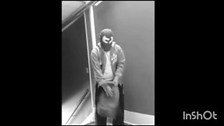 The Male Pregnant Man of the Upper Bolivia, an erotic clip for women from Bolivia