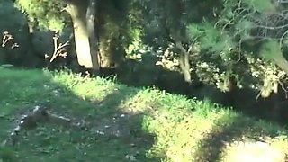 Busty blonde ass fucked in the park