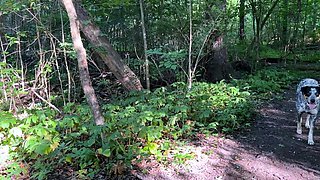 Blonde is flashing her big boobs in the outdoors