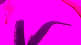 hot amateur blonde close up masturbation HD