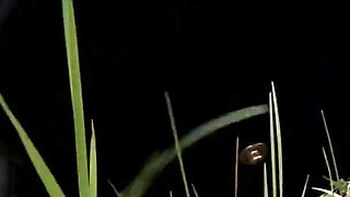 Herrin enslaves man and enjoys foot fetish outdoor