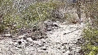 Wife Sharing on Nudist Beach While Hubby Records, Teenage Slut Gets Fucked by a Random Guy on a Nudist Beach