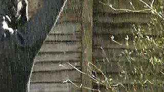 Solo eurobabe masturbating outdoors