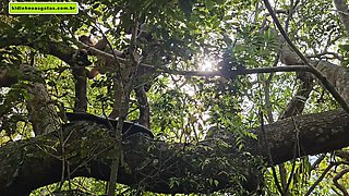 Strange To Help Me Go Upstairs So I Can Give Him A Blowjob