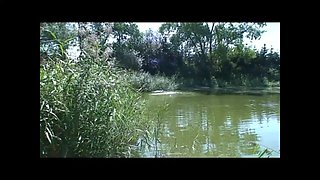Young Skinny Sluts Fucked Outdoors by Huge Cocks