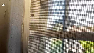 She is in love with my BBC so We Fucked for free