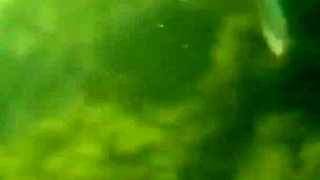 Swimming and Flashing in the Sea