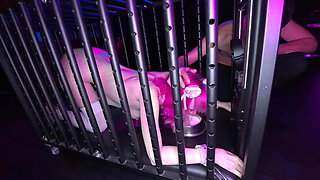 A Young Bitch Is Fucked in Her Cage