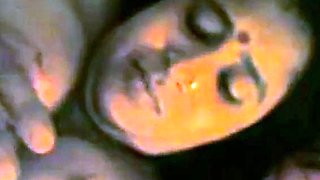 Big-Busted Indian Couple Amateur Sex Tape