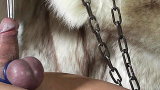 Cock Stretching with Crane