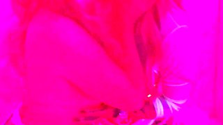 Fun in the club