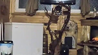 Tight Leather Pants Dance Cameltoe Tease & Sensual Moves-prev