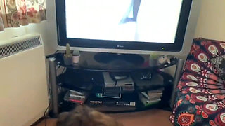 BBC Doggy Pounding Wearing Cock Ring
