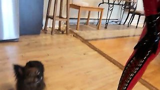 Big boobs milf masturbates with her dildo