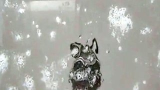 Spit Fetish POV: Amateur Webcam Girl Spits for You