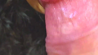 Fpov Female Perspective Blowjob in Two Angles