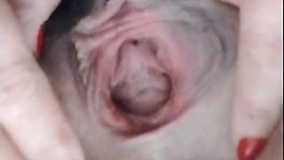 Hairy Pussy Spread Open Gape Upclose