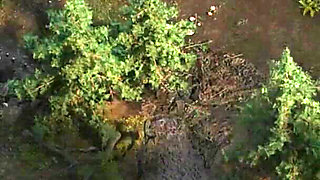 The Genesis Order V21041 Part 47 Pool Party by Loveskysan69