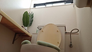 Various toilet scenes