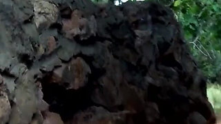 Milf slut fucked in the park