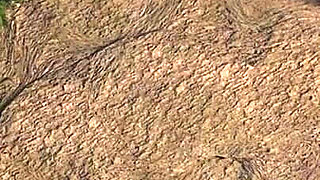 Treasure of Nadia V93083 Part 283 Kaley Anal Sex by Loveskysan69