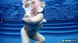 Moist Tee Teaser - Dors Feline