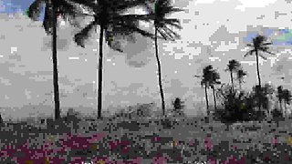 Woodman - Caylian Curtis - Hard