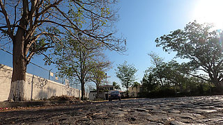 Hot Tattooed Bitch Pays the Uber with Her Pussy