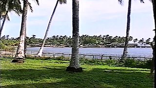 Very cute blonde babe outdoor sex