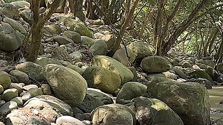 I Have a Hard Fuck with a Young Unknown Latino Outdoors After Seeing Me Naked in the River