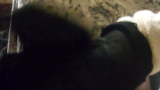 Goode Girl Nylonplay with Hubby's Cock and Balls