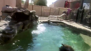Stream