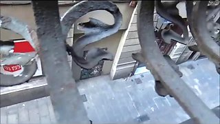 Public balcony squirt: Bongacams, Masturbation  Solo Porn